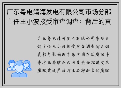 广东粤电靖海发电有限公司市场分部主任王小波接受审查调查：背后的真相与影响