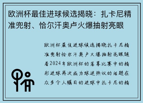 欧洲杯最佳进球候选揭晓：扎卡尼精准兜射、恰尔汗奥卢火爆抽射亮眼