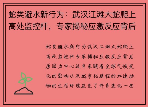 蛇类避水新行为：武汉江滩大蛇爬上高处监控杆，专家揭秘应激反应背后原因