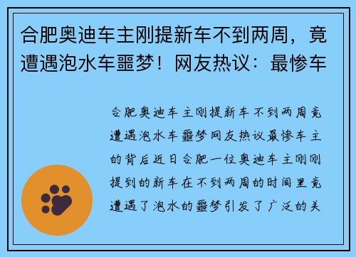 合肥奥迪车主刚提新车不到两周，竟遭遇泡水车噩梦！网友热议：最惨车主